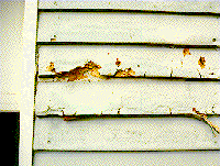 home inspection of siding